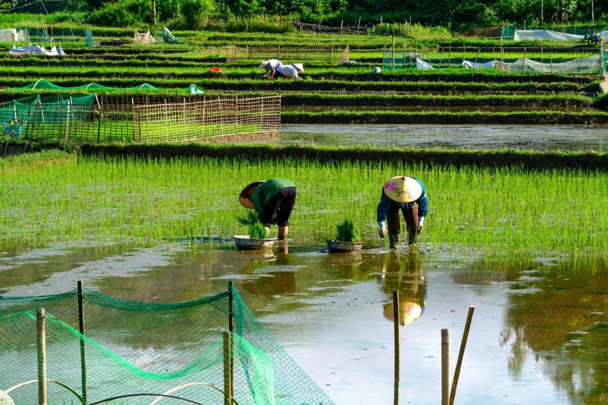 Nha Tan - Mai Chau Homestay And Tours Exterior photo